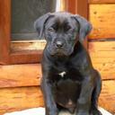 Kat Royal - @Katroyal - Twitter