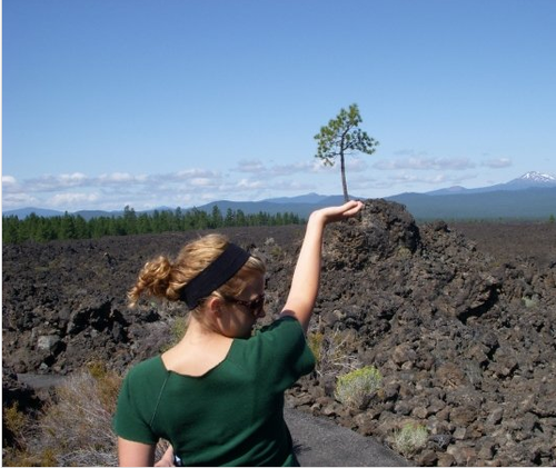 hvarano's profile picture. 