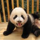 Alfred Walter - @AlfredWalter - Twitter