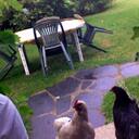 Jérôme Leroy - @ArthurGanate - Twitter