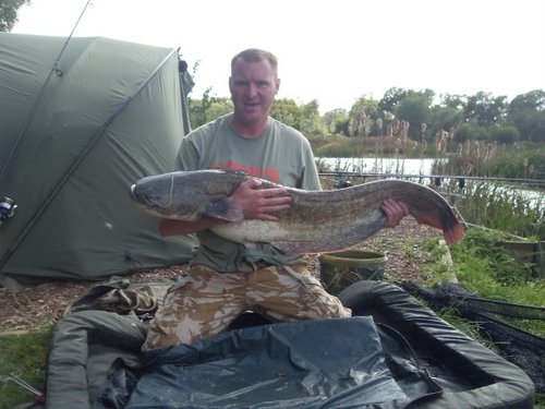 andy_goodman's profile picture. HOS ICT Consultant Gravesham Partnership