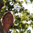 Dappie1's profile image