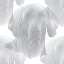 Nancy Quesenberry - @QTWeim - Twitter