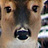 _hunt's profile image