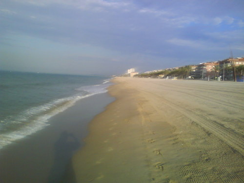 LNALOZ's profile picture. Sin grandes pretensiones.