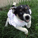 Pat Kramer - @iaffgirl - Twitter