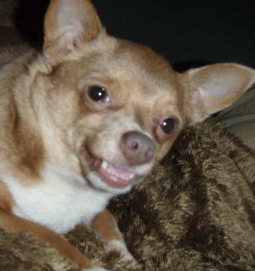 whoshotjr8's profile picture. I am a baller on a budget meanwhile living with an Auss-Hole!