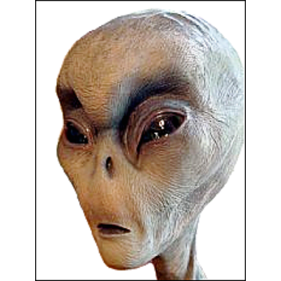 Hi I'm an Alien and on my way home I crash landed on your planet Earth and now I'm Stranded. Follow me to help me! Please!!-FORGET IT I'M SCREWED!!