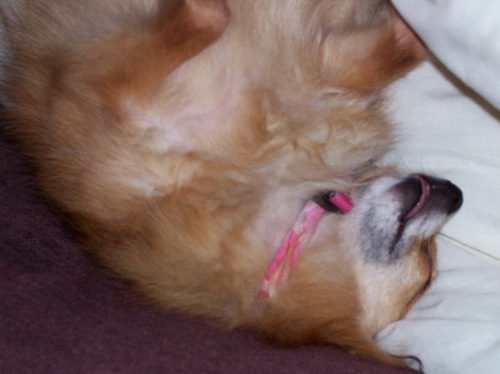 mmcdlg's profile picture. 