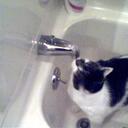 Trevor Bagley - @Trev5219 - Twitter