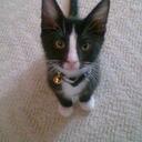 Cindy Warner - @ImaNoyd - Twitter