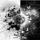 Blake Rickman - @brickman12 - Twitter