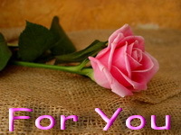 I m more than simple but less than rocking, more than warm but less than hot & more than friendly but less than...........? Keep on guessing