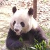 I Show China (@ishowchina) Twitter profile photo I Show China (@ishowchina) Twitter profile photo