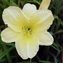 ROSS EGAN - @PLUTO169 - Twitter