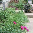 Stacy Mccall - @StacyMccall20 - Twitter