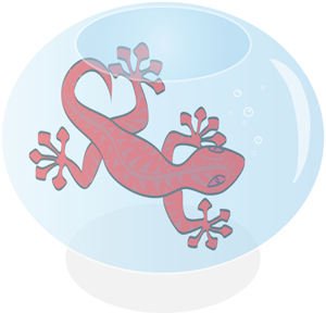 GeckoGeekfr's profile picture. Ingénieurs IT