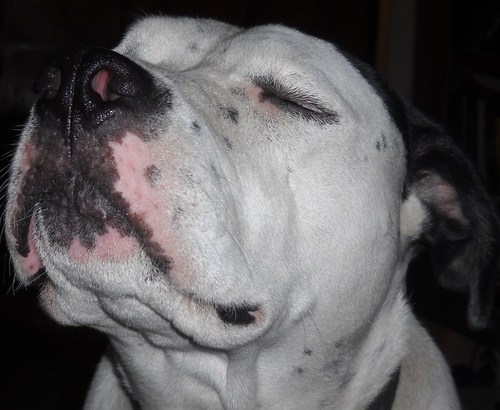 MarcyWallace1's profile picture. 