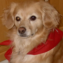 Deborah Hendricks - @hendricksjan - Twitter