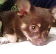 TheWrigley's profile picture. They call me Wrigley, Wriggles, Wriggle my niggle and Professor Wrigley.