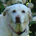 Pat McNally - @mcnalpj1 - Twitter