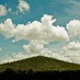 Neural Films (@neuralfilms) Twitter profile photo Neural Films (@neuralfilms) Twitter profile photo