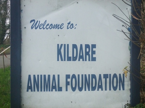 We are a rescue centre for sick,injured and abused animals
