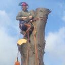 william dance - @williamdance - Twitter