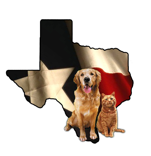 TexasCrusader's profile picture. 