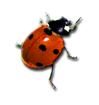 LivegreenTN's profile picture. LiveGreenTN promotes sustainable living efforts across TN, celebrates agricultural heritage & supports local farmers. Check your local PBS station for listing!