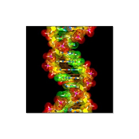 CSSci's profile picture. Making Science Relevant.  MEETING #1: TUES, SEPT 15th 3:30P-4:30P @ C-218.  MEETING #2: THURS, OCT 22nd FIELD TRIP TO SFSU (attendance to meeting #1 required)