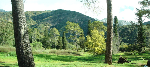 Growing kids in the Foothills