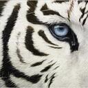 Miranda Wilson - @MiRayRay413 - Twitter