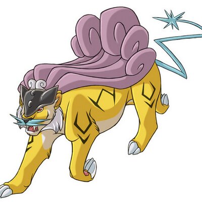 Raikou  Pokémon Amino Em Português Amino