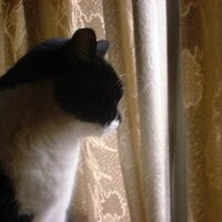 A Хиро Шибутани@noise_states (@noise_states) 's Twitter Profile