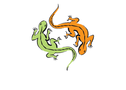 We help find homes for unwanted or abused reptiles.