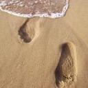 Taylor Milton - @tymilton - Twitter