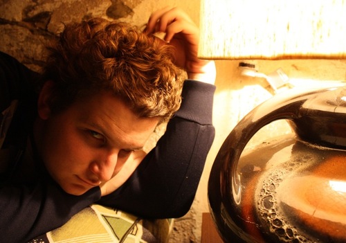 dantotheevans's profile picture. 