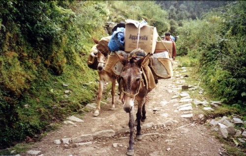 unknown destinations in india, camps and campgrounds, innovative travel solutions