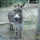 Jim Keyes - @Snox418 - Twitter