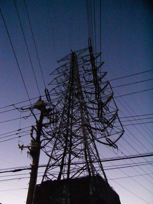 yohtarou's profile picture. 