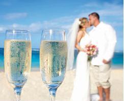 WedByOceans's profile picture. For beachside brides, Weddings By Oceans is your destination wedding specialists & Cyber Maids of Honour. You found each other, we'll help you find the beach!