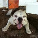 Matthew John Burt - @redmars22 - Twitter