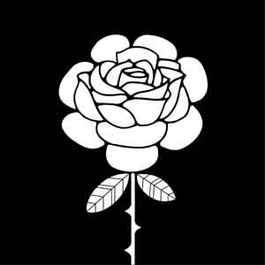 RoseSquaredProd's profile picture. Promoter of juried fine art & fine craft shows. #artshows #artfestivals #craftshows #craftfestivals #NewJersey #fineart #finecrafts