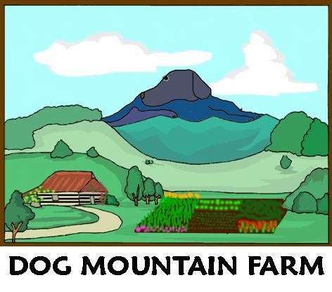 DogMtnFarm's profile picture. Farmer