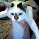 Robbie Berry - @slobbie123 - Twitter