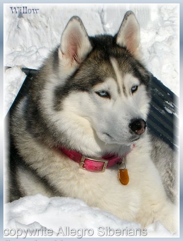 dayen_clarice36's profile picture. Top nothcher of physician board exam