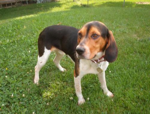 chappygoboom's profile picture. Dad, husband, nurse, gamer, geek, drummer.