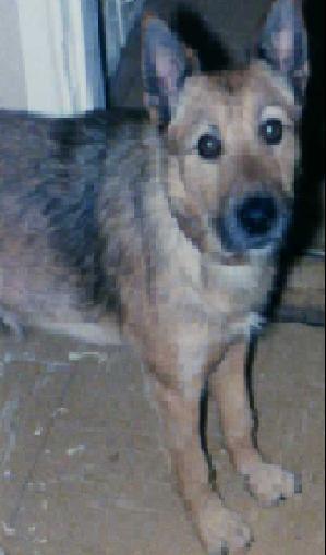 copps321's profile picture. 