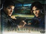 naturaldvds's profile picture. Free supernatural dvd the link is in my profile